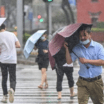 颱風沙德爾懶人包